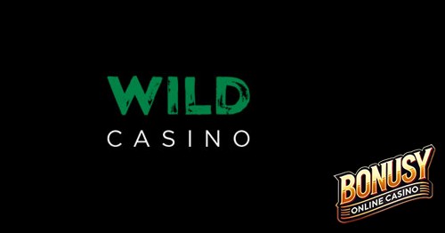 WildCasino Bonus Codes